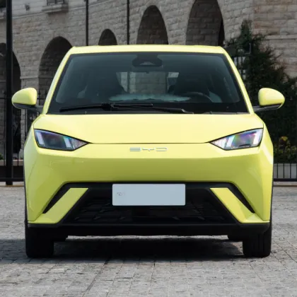 BYD Seagull Sea Gull Modern Auto Electric Vehicle