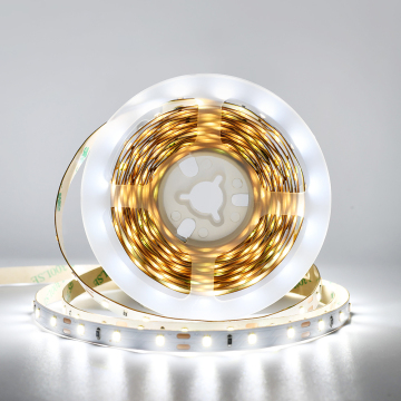 Waterproof LED Strip Light 5m Roll - SMD 2835 RGB Flexible 12V/24V DC
