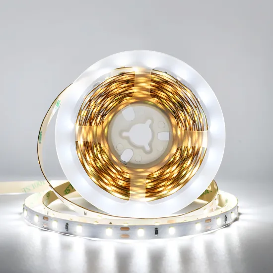 Waterproof LED Strip Light 5m Roll - SMD 2835 RGB Flexible 12V/24V DC