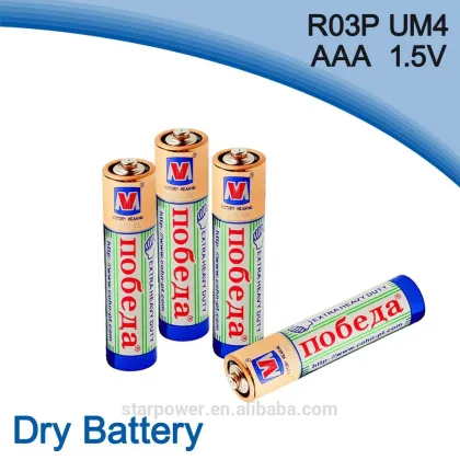 VICTORY MEANING 1.5v um4 battery r03p aaa