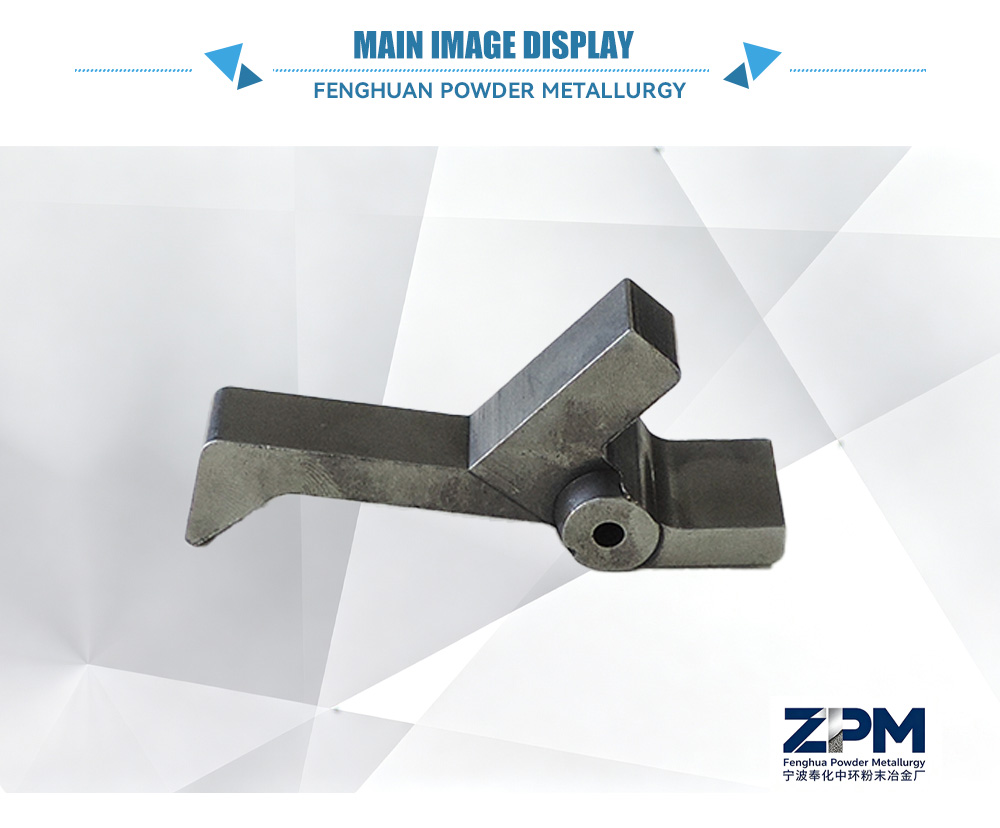 Latch Spring Check Valve-x