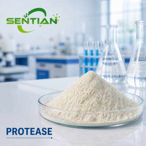 Protease Enzyme for Baking & Protein Hydrolysis