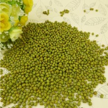 Well Selected Small Green Mung Bean