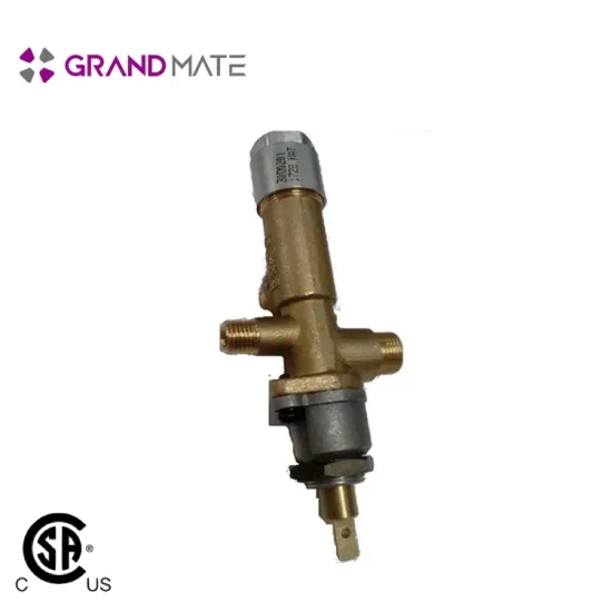 safety device gas detector with auto shut off valve