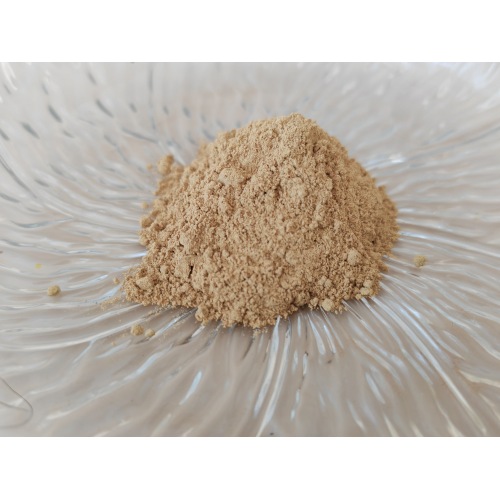 Extracto de Ginkgo Biloba