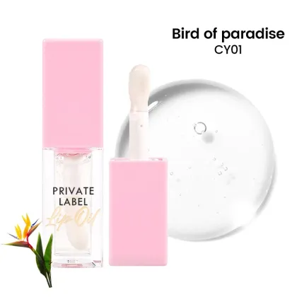 Vegan Glossy Lipgloss with Fruit Tint and Plumping Effect