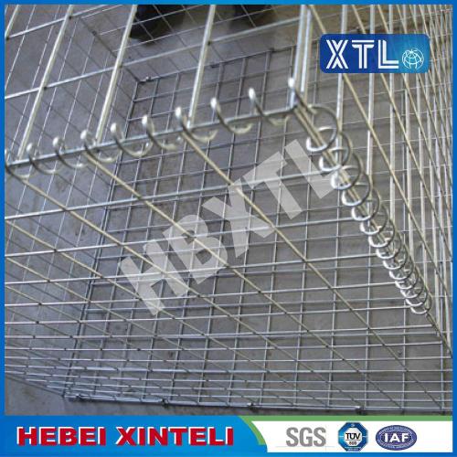 Bestes Wire Mesh Gabions Rock-Netz