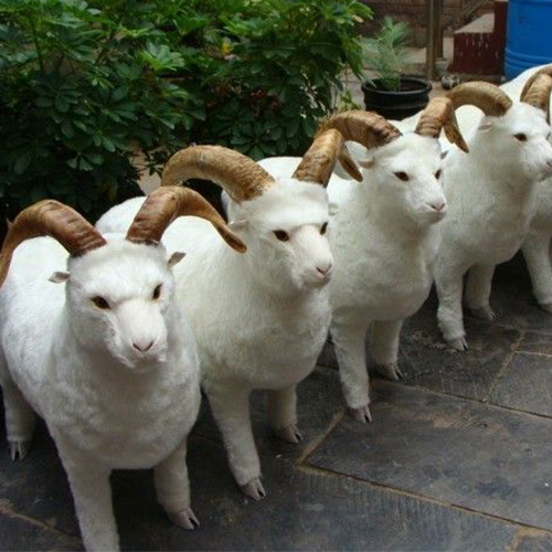 Realistic Animatronic Sheep for Theme Park Decoration