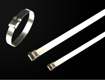Stainless Steel Cable Tie-Wing Lock Type