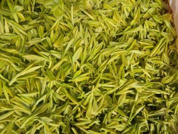 Choose a green tea