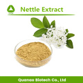 Top Quality Nettle Leaf Extract Powder 10:1