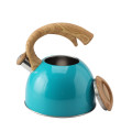 Color painting Stainless steel whistling kettle