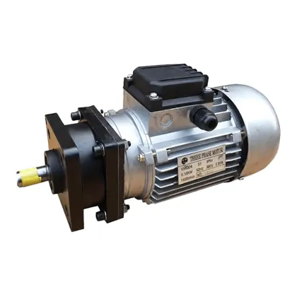 Belt Conveyor Motor Gearbox Drive Systems