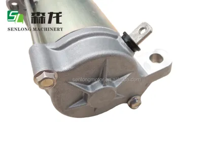 12V 11T Starter Motor for Taiga Snowmobile in Novosibirsk 428000-8971
