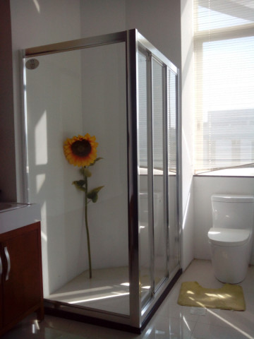 Portable aluminum profile shower room
