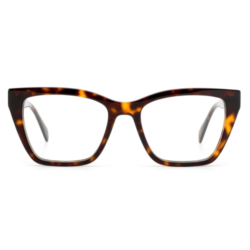 Translucent Acetate Fashion Glasses