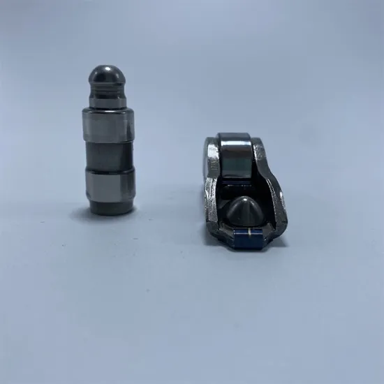 Intake Valve Rocker Arm 423 0087 100 for Audi Car Accessories