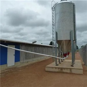 Light Steel Structure Poultry House