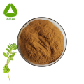 Organisch tijmbladextract Thymol Powder 10: 1