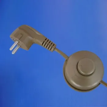 Switch with Plug