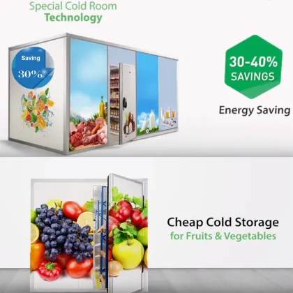 Pvc Cold Storage Room Door