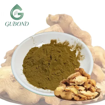 Polygonatum Extract Powder for Dietary Supplements