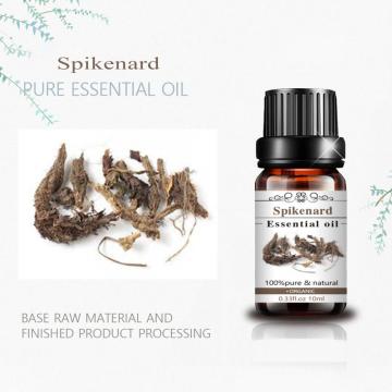 Wholesale 100% Pure & Natural Spikenard Essential Oil for Healthcare