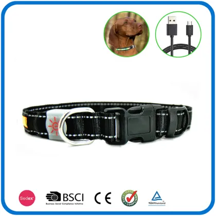 Night Bright Rechargeable Dog Collars