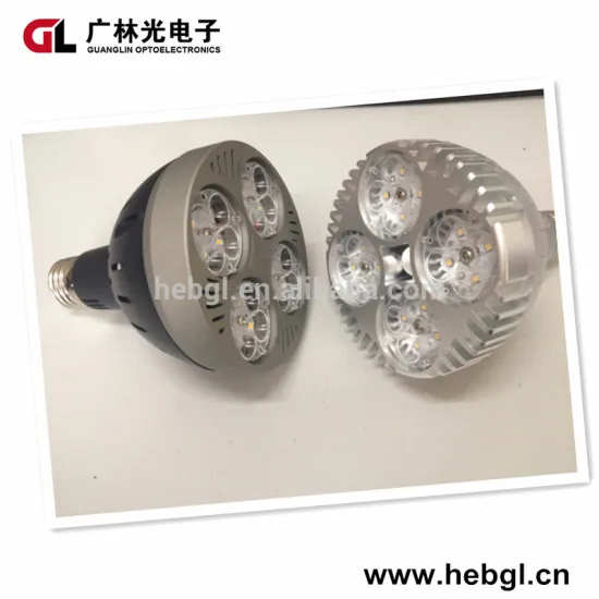 LED PAR30 Light with Cooling Fan 35W