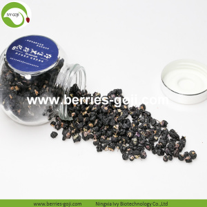 Kilang Baru Suply Fruit Black Goji Berry kering