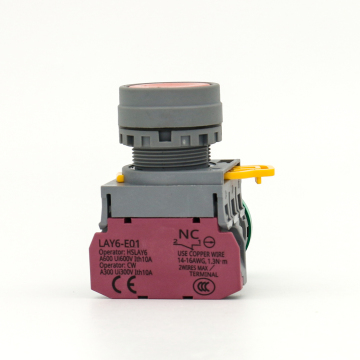 22mm IP65 10A Flat Round Head Plastic Button Switch with Indicator Light (Red/Green/Blue/White)
