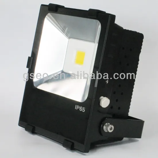 50W LED Flood Light BSCI supplier