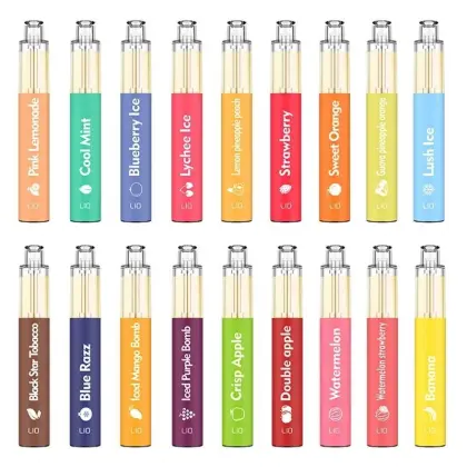 2021 Popular Disposable Electronic Cigarettes Jook Lio Bee