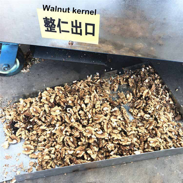 Stainless Steel Walnut Opener and Cracker Machine