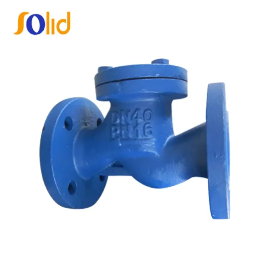 Cast iron flanged ends lift check valve