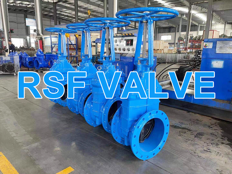 Os Y Rising Stem Din3202 F4 Resilient Gate Valve 2 Rsf Valve Jpg