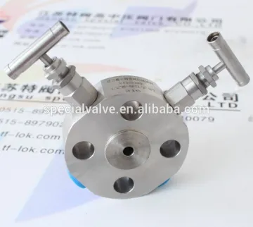 stainless steel block and bleed Valve manufacturer