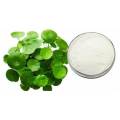 Asiaticoside for Moisturizing Raw Materials