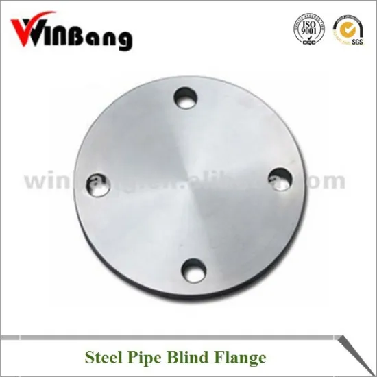 Flat Weld Steel Pipe Blind Flange Model:WB PG-38