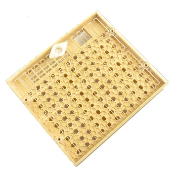 Queen Brooder Box: Insect-Free Solution with Queen Guard Cover