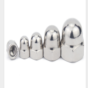 Stainless Steel High Quality Custom Cap Nut