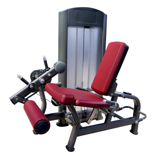 امتداد الساق/معدات صالة التدريب على الساق