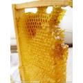 プレミアム品質の新鮮な純粋な天然櫛蜂蜜