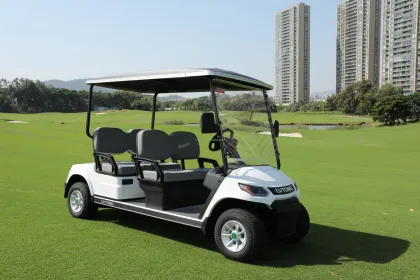 LVTONG 48V 2-Seater Electric Golf Cart