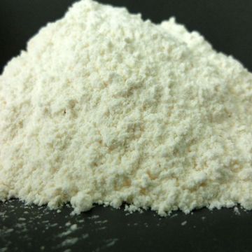 garlic powder for animal feed additives