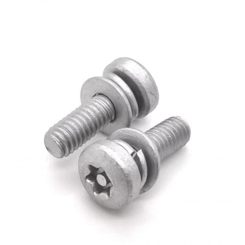 Anti-Theft Pan Head Assembling Screw M4-0.7*12