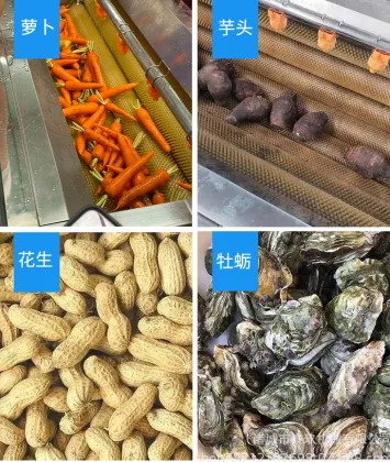 Automatic Customizable Cleaning Peeling Machine for Oysters, Shellfish, Ginger, and Potatoes