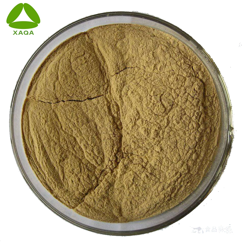 Fisting shishgan qin