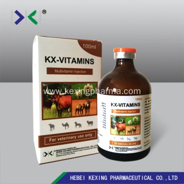 Vitamin B Complex Injection Cattle China Manufacturer