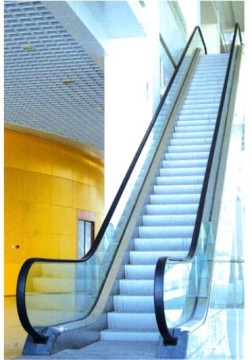 Home Escalator and Moving Walks (HFM35-800)